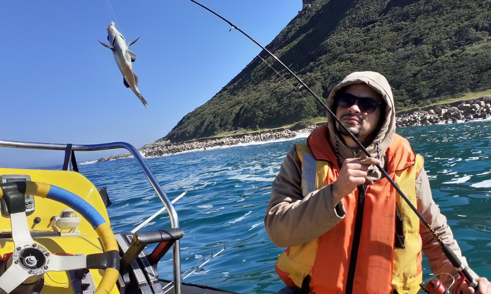 Cape Snoek fish caught during a close-to-shore fishing trip