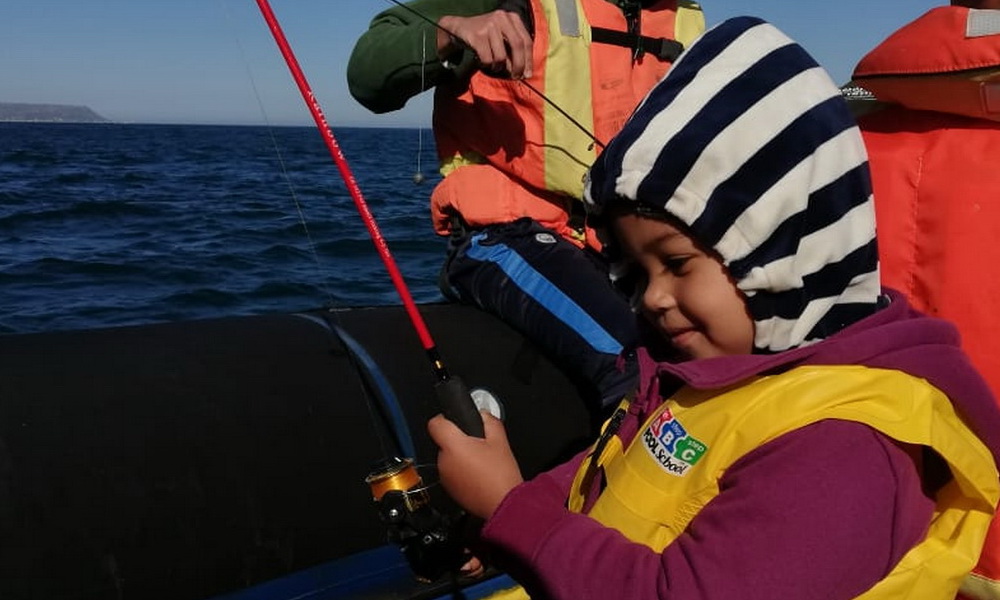 Yellowtail fish caught on a Cape Town fishing charter