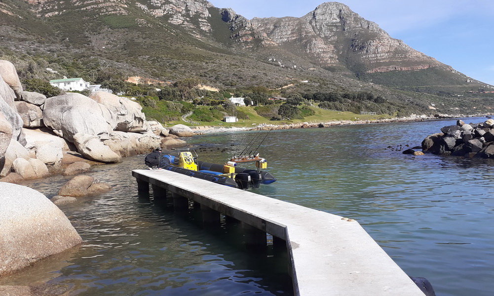 Photography boat trip capturing marine wildlife along the Cape Peninsula